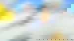 article-image