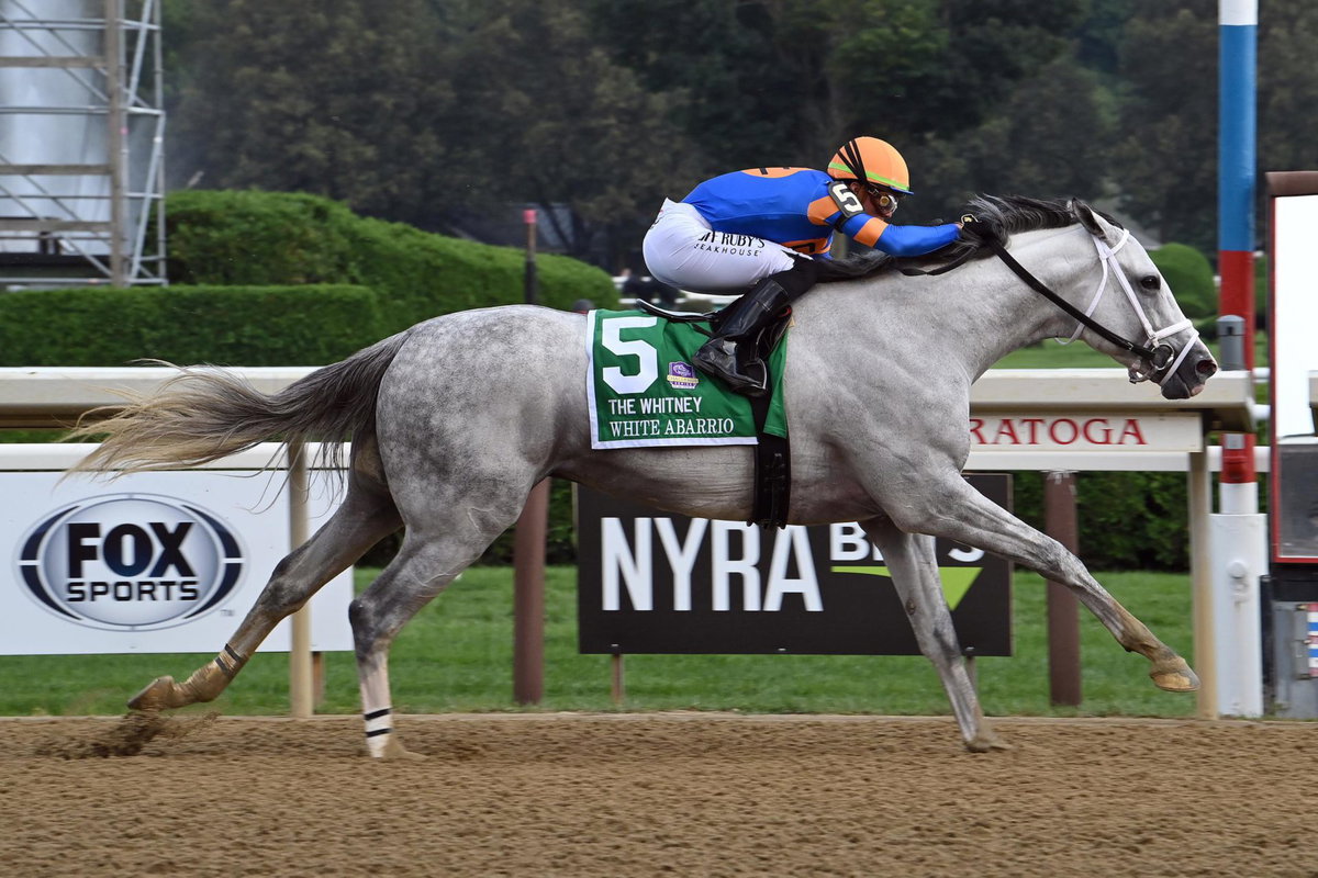 Equestrian World’s Renowned Horse White Abarrio Eyes Victory in 6M