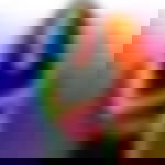 article-image