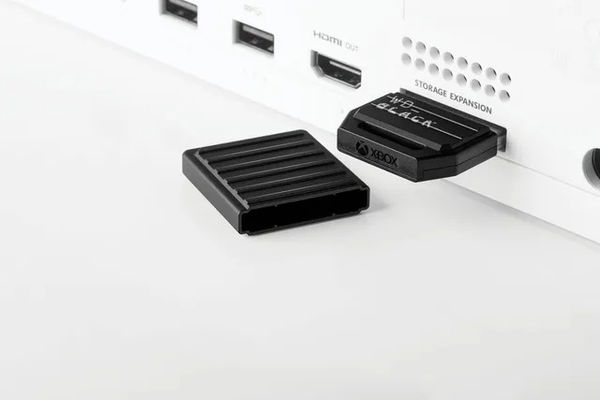 article-image